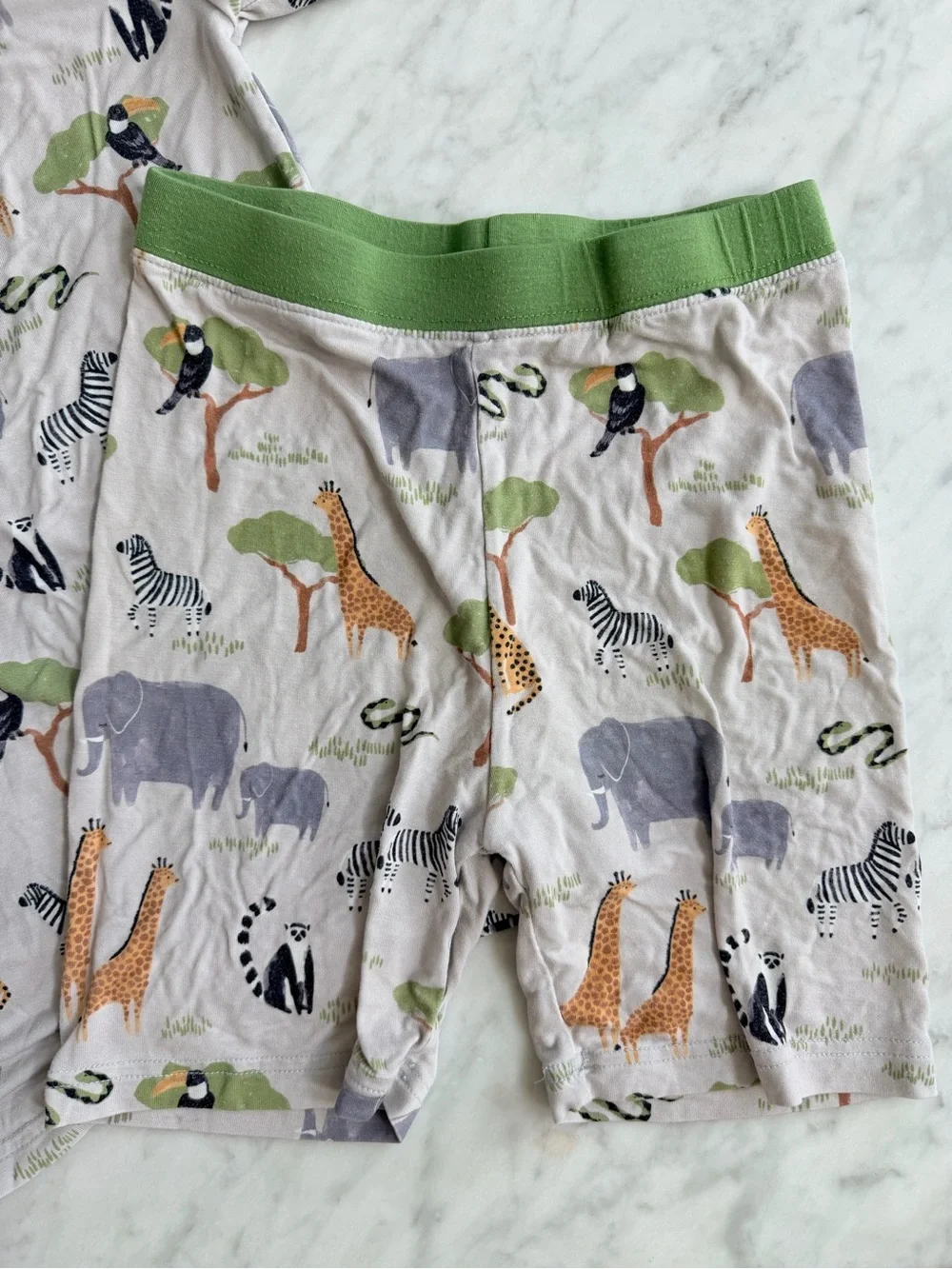 Little Sleepies Safari Animals Pajama Set - Green Trim